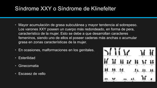 Síndrome XXY o Síndrome de Klinefelter
• Mayor acumulación de grasa subcutánea y mayor tendencia al sobrepeso.
Los varones XXY poseen un cuerpo más redondeado, en forma de pera,
característico de la mujer. Esto se debe a que desarrollan caracteres
femeninos, siendo uno de ellos el poseer caderas más anchas o acumular
grasa en zonas características de la mujer.
• En ocasiones, malformaciones en los genitales.
• Esterilidad
• Ginecomatia
• Escasez de vello
 