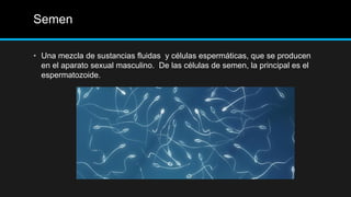 Semen
• Una mezcla de sustancias fluidas y células espermáticas, que se producen
en el aparato sexual masculino. De las células de semen, la principal es el
espermatozoide.
 