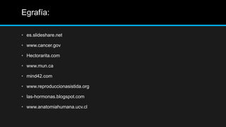 Egrafía:
• es.slideshare.net
• www.cancer.gov
• Hectorarita.com
• www.mun.ca
• mind42.com
• www.reproduccionasistida.org
• las-hormonas.blogspot.com
• www.anatomiahumana.ucv.cl
 