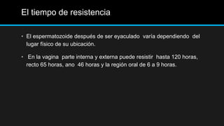 El tiempo de resistencia
• El espermatozoide después de ser eyaculado varía dependiendo del
lugar físico de su ubicación.
• En la vagina parte interna y externa puede resistir hasta 120 horas,
recto 65 horas, ano 46 horas y la región oral de 6 a 9 horas.
 