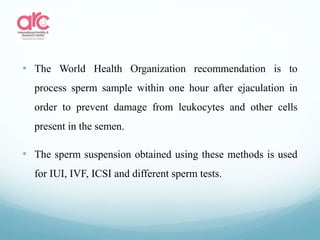 • The World Health Organization recommendation is to
process sperm sample within one hour after ejaculation in
order to prevent damage from leukocytes and other cells
present in the semen.
• The sperm suspension obtained using these methods is used
for IUI, IVF, ICSI and different sperm tests.
 