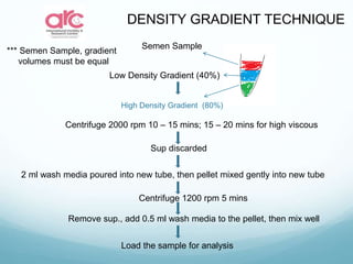 High Density Gradient (80%)
Low Density Gradient (40%)
Semen Sample
Centrifuge 2000 rpm 10 – 15 mins; 15 – 20 mins for high viscous
2 ml wash media poured into new tube, then pellet mixed gently into new tube
Sup discarded
Centrifuge 1200 rpm 5 mins
Remove sup., add 0.5 ml wash media to the pellet, then mix well
Load the sample for analysis
DENSITY GRADIENT TECHNIQUE
*** Semen Sample, gradient
volumes must be equal
 