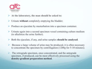  At the laboratory, the man should be asked to:
 Urinate without completely emptying the bladder;
 Produce an ejaculate by masturbation into a specimen container.
 Urinate again into a second specimen vessel containing culture medium
(to alkalinize the urine further).
 Both the ejaculate, if any, and urine samples should be analysed.
 Because a large volume of urine may be produced, it is often necessary
to concentrate the specimen by centrifugation (1200g for 5-10 minutes).
 The retrograde specimen, once concentrated, and the antegrade
specimen, if produced, can be most effectively processed using the
density-gradient preparation method.
 