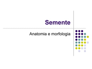 Semente
Anatomia e morfologia
 