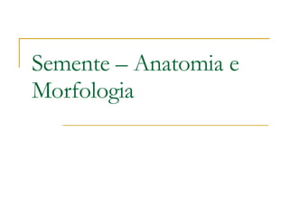 Semente – Anatomia e Morfologia  