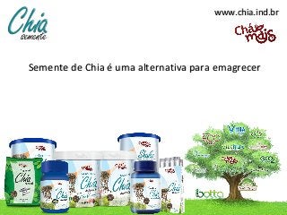 www.chia.ind.br




Semente de Chia é uma alternativa para emagrecer
 