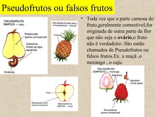 Pseudofrutos ou falsos frutos
• Toda vez que a parte carnosa do
fruto,geralmente comestível,for
originada de outra parte da flor
que não seja o ovário,o fruto
não é verdadeiro .São então
chamados de Pseudofrutos ou
falsos frutos.Ex. a maçã ,o
morango , o caju.
 