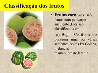 Classificação dos frutos
• Frutos carnosos: são
frutos com pericarpo
suculento ,Eles são
classificados em:
a) Baga :São frutos que
possuem uma ou várias
sementes soltas.Ex.Goiaba,
melancia,
mamão,tomate,laranja
 