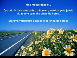 Uns meses depois... Quando ia para o trabalho, o homem, ao olhar pela janela viu todo o caminho cheio de flores... Era uma verdadeira paisagem colorida de flores!  