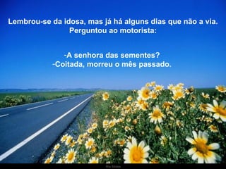 Lembrou-se da idosa, mas já há alguns dias que não a via. Perguntou ao motorista: A senhora das sementes?  Coitada, morreu o mês passado.  . 