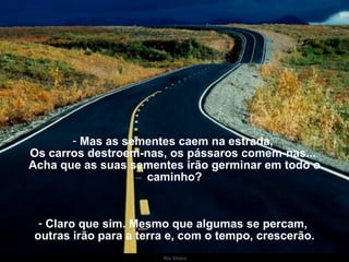 Mas as sementes caem na estrada,  Os carros destroem-nas, os pássaros comem-nas...  Acha que as suas sementes irão germinar em todo o caminho? Claro que sim. Mesmo que algumas se percam,  outras irão para a terra e, com o tempo, crescerão. 