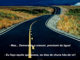 - Mas... Demorarão a crescer, precisam de água! - Eu faço aquilo que posso, os dias de chuva hão-de vir! 