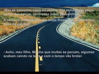 Mas as sementes caem no asfalto, são esmagadas pelos pneus dos carros, devoradas pelos passarinhos...  A senhora acha mesmo que estas flores vão nascer aí, na beira da estrada? - Acho, meu filho. Mesmo que muitas se percam, algumas acabam caindo na terra e com o tempo vão brotar. 