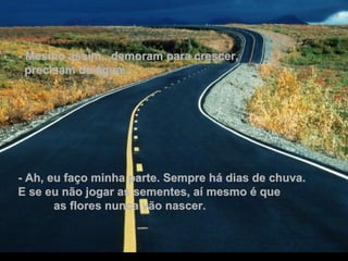 - Mesmo assim...demoram para crescer,  precisam de água... - Ah, eu faço minha parte. Sempre há dias de chuva.  E se eu não jogar as sementes, aí mesmo é que  as flores nunca vão nascer. 