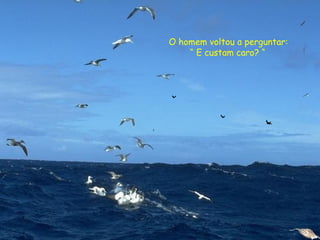 O homem voltou a perguntar:
“ E custam caro? “
 