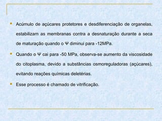  Acúmulo de açúcares protetores e desdiferenciação de organelas,
estabilizam as membranas contra a desnaturação durante a seca
de maturação quando o Ψ diminui para -12MPa.
 Quando o Ψ cai para -50 MPa, observa-se aumento da viscosidade
do citoplasma, devido a substâncias osmoreguladoras (açúcares),
evitando reações químicas deletérias.
 Esse processo é chamado de vitrificação.
 