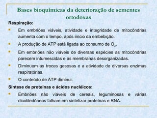 Bases bioquímicas da deterioração de sementes
ortodoxas
Respiração:
 Em embriões viáveis, atividade e integridade de mitocôndrias
aumenta com o tempo, após início da embebição.
 A produção de ATP está ligada ao consumo de O2.
 Em embriões não viáveis de diversas espécies as mitocôndrias
parecem intumescidas e as membranas desorganizadas.
 Diminuem as trocas gasosas e a atividade de diversas enzimas
respiratórias.
 O conteúdo de ATP diminui.
Síntese de proteínas e ácidos nucléicos:
 Embriões não viáveis de cereais, leguminosas e várias
dicotiledôneas falham em sintetizar proteínas e RNA.
 