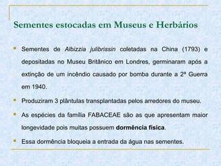 Sementes estocadas em Museus e Herbários
 Sementes de Albizzia julibrissin coletadas na China (1793) e
depositadas no Museu Britânico em Londres, germinaram após a
extinção de um incêndio causado por bomba durante a 2ª Guerra
em 1940.
 Produziram 3 plântulas transplantadas pelos arredores do museu.
 As espécies da família FABACEAE são as que apresentam maior
longevidade pois muitas possuem dormência física.
 Essa dormência bloqueia a entrada da água nas sementes.
 