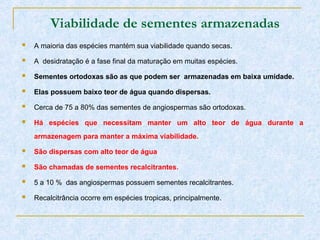 Viabilidade de sementes armazenadas
 A maioria das espécies mantém sua viabilidade quando secas.
 A desidratação é a fase final da maturação em muitas espécies.
 Sementes ortodoxas são as que podem ser armazenadas em baixa umidade.
 Elas possuem baixo teor de água quando dispersas.
 Cerca de 75 a 80% das sementes de angiospermas são ortodoxas.
 Há espécies que necessitam manter um alto teor de água durante a
armazenagem para manter a máxima viabilidade.
 São dispersas com alto teor de água
 São chamadas de sementes recalcitrantes.
 5 a 10 % das angiospermas possuem sementes recalcitrantes.
 Recalcitrância ocorre em espécies tropicas, principalmente.
 