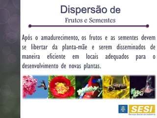 Após o amadurecimento, os frutos e as sementes devem
se libertar da planta-mãe e serem disseminados de
maneira eficiente em locais adequados para o
desenvolvimento de novas plantas.
Dispersão de
Frutos e Sementes
 