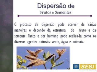 Dispersão de
Frutos e Sementes
O processo de dispersão pode ocorrer de várias
maneiras e depende da estrutura do fruto e da
semente. Tanto o ser humano pode realiza-la como os
diversos agentes naturais: vento, água e animais.
 