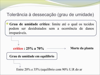 Tolerância à dessecação (grau de umidade)
Grau de umidade crítico: limite até o qual os tecidos
podem ser desidratados sem a ocorrência de danos
irreparáveis.
crítico : 25% a 70%
Grau de umidade em equilíbrio
Entre 20% e 35% (equilíbrio com 90% U.R do ar
Morte da planta
 