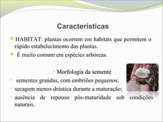 Características
HABITAT: plantas ocorrem em habitats que permitem o
rápido estabelecimento das plantas.
 É muito comum em espécies arbóreas.
Morfologia da sementeMorfologia da semente
• sementes graúdas, com embriões pequenos;
• secagem menos drástica durante a maturação;
• ausência de repouso pós-maturidade sob condições
naturais.
 
