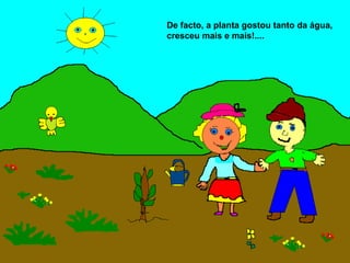 De facto, a planta gostou tanto da água,
cresceu mais e mais!....
 