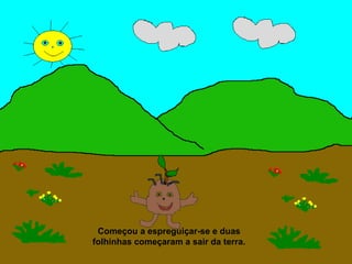 Começou a espreguiçar-se e duas
folhinhas começaram a sair da terra.
 