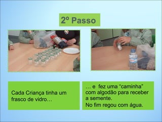 … e fez uma “caminha”
Cada Criança tinha um   com algodão para receber
frasco de vidro…        a semente.
                        No fim regou com água.
 