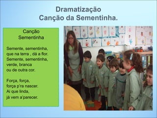 Canção
       Sementinha

Semente, sementinha,
que na terra , dá a flor.
Semente, sementinha,
verde, branca
ou de outra cor.

Força, força,
força p’ra nascer.
Ai que linda,
já vem a’parecer.
 