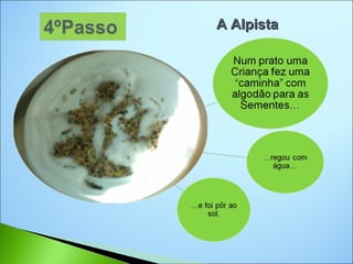 A Alpista
 