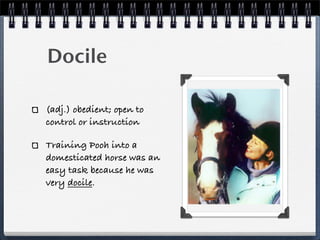 Semester 2 Wordlist 1