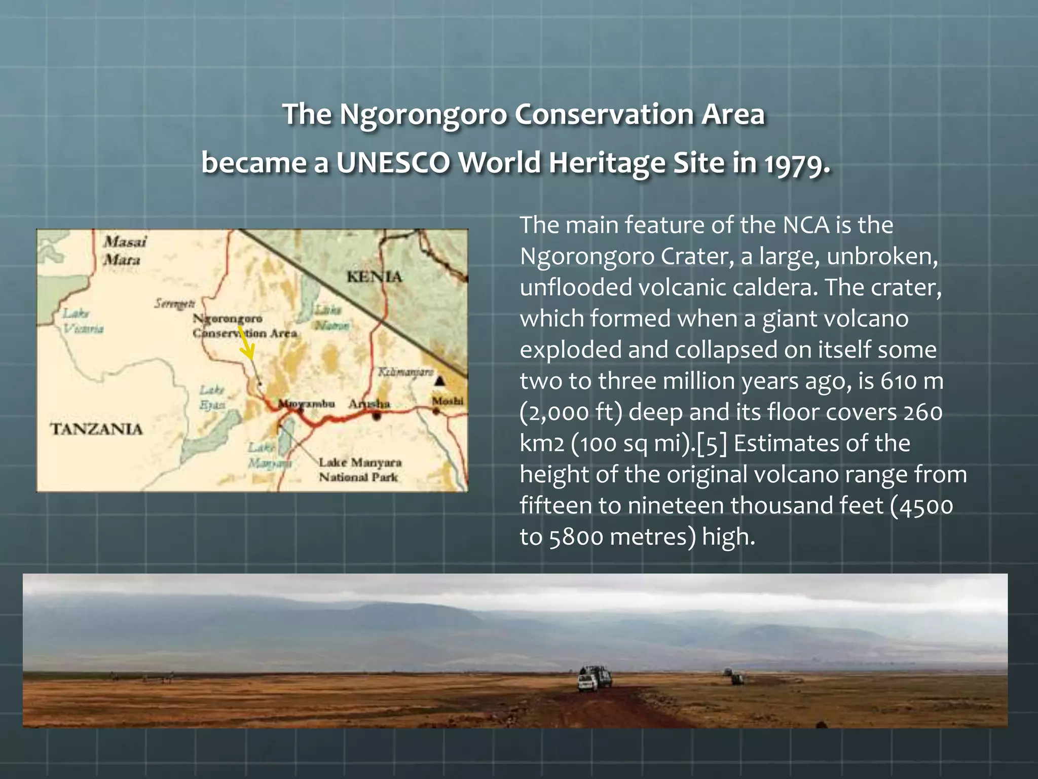 The Ngorongoro Conservation Area
became a UNESCO World Heritage Site in 1979.
The main feature of the NCA is the
Ngorongoro Crater, a large, unbroken,
unflooded volcanic caldera. The crater,
which formed when a giant volcano
exploded and collapsed on itself some
two to three million years ago, is 610 m
(2,000 ft) deep and its floor covers 260
km2 (100 sq mi).[5] Estimates of the
height of the original volcano range from
fifteen to nineteen thousand feet (4500
to 5800 metres) high.
 