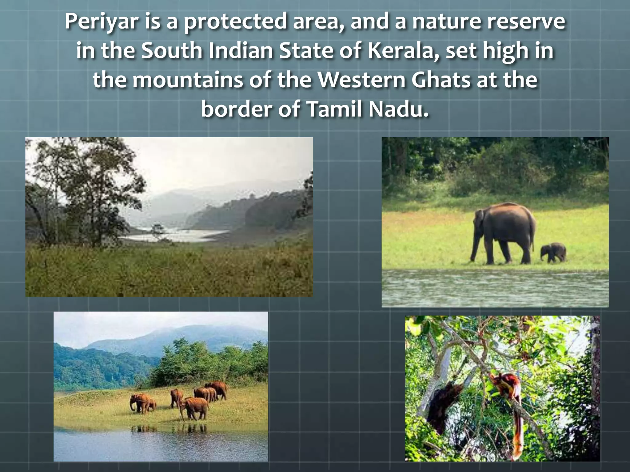 Periyar is a protected area, and a nature reserve
in the South Indian State of Kerala, set high in
the mountains of the Western Ghats at the
border of Tamil Nadu.
 