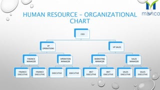 HUMAN RESOURCE – ORGANIZATIONAL
CHART
CEO
VP
OPERATIONS
FINANCE
MANAGER
FINANCE
EXECUTIVE
FINANCE
EXECUTIVE
OPERATION
MANAGER
EXECUTIVE EXECUTIVE
VP SALES
MARKETING
MANAGER
MKT
EXECUTIVE
MKT
EXECUTIVE
SALES
MANAGER
SALES
EXECUTIVE
SALES
EXECUTIVE
 
