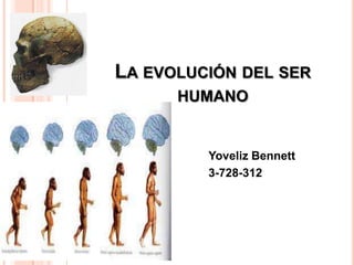 LA EVOLUCIÓN DEL SER
      HUMANO


         Yoveliz Bennett
         3-728-312
 
