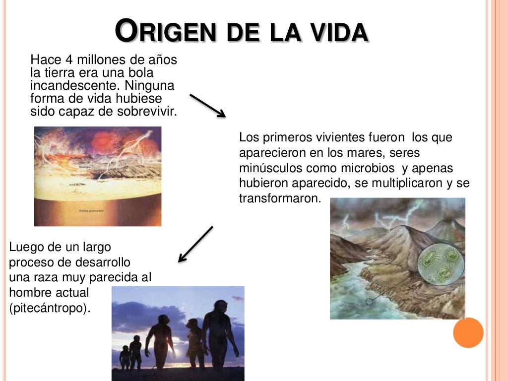evolucion del ser humano (origen de la vida)