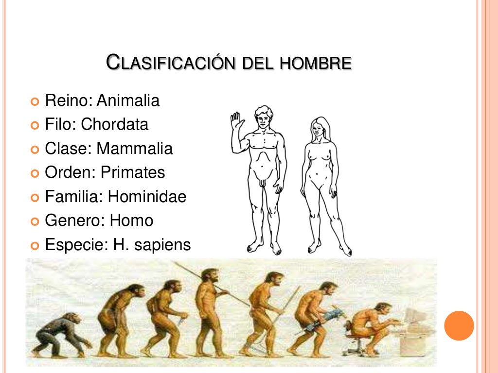 Evolucion Del Ser Humano Origen De La Vida