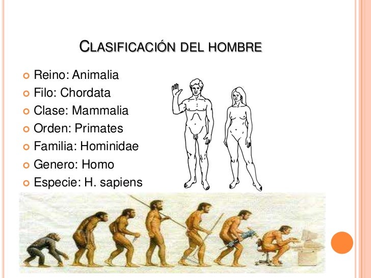 evolucion del ser humano (origen de la vida)