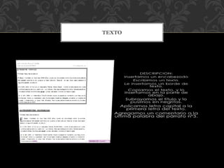 TEXTO

 