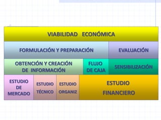 VIABILIDAD ECONÓMICA
FORMULACIÓN Y PREPARACIÓN EVALUACIÓN
OBTENCIÓN Y CREACIÓN
DE INFORMACIÓN
FLUJO
DE CAJA
SENSIBILIZACIÓN
ESTUDIO
DE
MERCADO
ESTUDIO
ORGANIZ
ESTUDIO
TÉCNICO
ESTUDIO
FINANCIERO
 