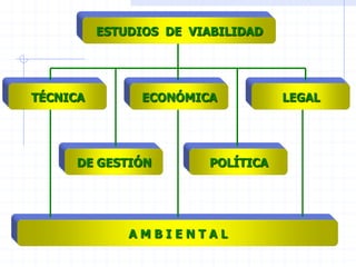 ESTUDIOS DE VIABILIDAD
TÉCNICA ECONÓMICA LEGAL
DE GESTIÓN POLÍTICA
A M B I E N T A L
 