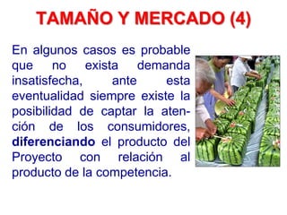 En algunos casos es probable
que no exista demanda
insatisfecha, ante esta
eventualidad siempre existe la
posibilidad de captar la aten-
ción de los consumidores,
diferenciando el producto del
Proyecto con relación al
producto de la competencia.
TAMAÑO Y MERCADO (4)
 
