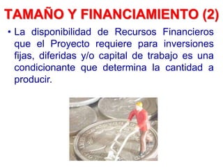 TAMAÑO Y FINANCIAMIENTO (2)
• La disponibilidad de Recursos Financieros
que el Proyecto requiere para inversiones
fijas, diferidas y/o capital de trabajo es una
condicionante que determina la cantidad a
producir.
 