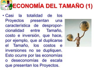 ECONOMÍA DEL TAMAÑO (1)
• Casi la totalidad de los
Proyectos presentan una
característica de despropor-
cionalidad entre Tamaño,
costo e inversión, que hace,
por ejemplo, que al duplicarse
el Tamaño, los costos e
inversiones no se dupliquen.
Esto ocurre por las economías
o deseconomías de escala
que presentan los Proyectos.
 