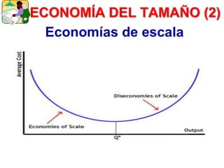 Economías de escala
ECONOMÍA DEL TAMAÑO (2)
 