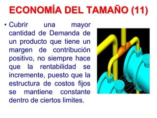• Cubrir una mayor
cantidad de Demanda de
un producto que tiene un
margen de contribución
positivo, no siempre hace
que la rentabilidad se
incremente, puesto que la
estructura de costos fijos
se mantiene constante
dentro de ciertos limites.
ECONOMÍA DEL TAMAÑO (11)
 