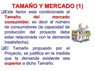 TAMAÑO Y MERCADO (1)
Este factor esta condicionado al
Tamaño del mercado
consumidor, es decir al número
de consumidores (la capacidad de
producción del proyecto debe
estar relacionada con la demanda
insatisfecha).
El Tamaño propuesto por el
Proyecto, se justifica en la medida
que la demanda existente sea
superior a dicho Tamaño.
 