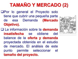 TAMAÑO Y MERCADO (2)
Por lo general el Proyecto solo
tiene que cubrir una pequeña parte
de esa Demanda (Mercado
Objetivo).
 La información sobre la demanda
insatisfecha se obtiene del
balance de la oferta y demanda
proyectada obtenida en el estudio
de mercado. El análisis de este
punto permite seleccionar el
tamaño del proyecto.
 